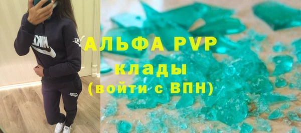 прущие грибы Абаза