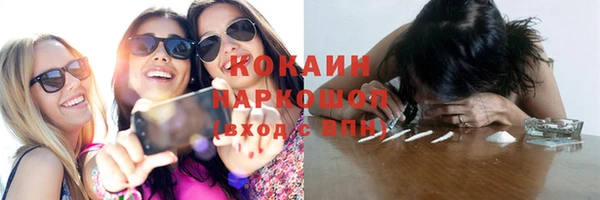 прущие грибы Абаза