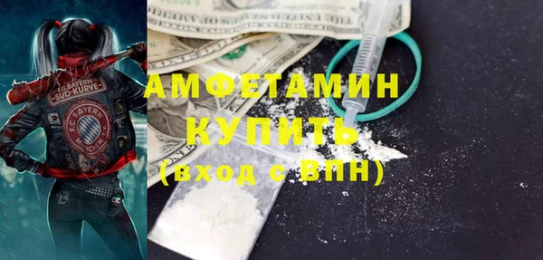 прущие грибы Абаза