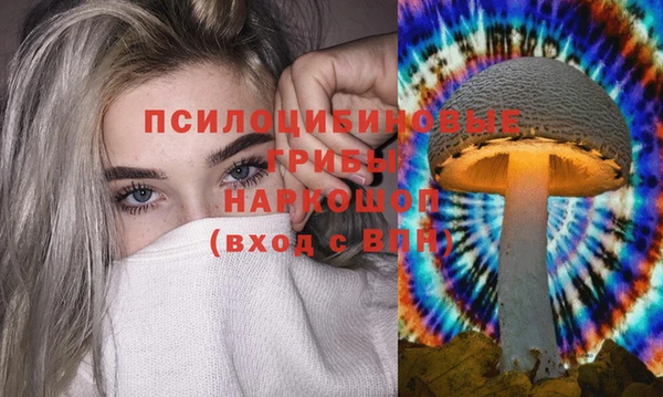 Альфа ПВП Абдулино