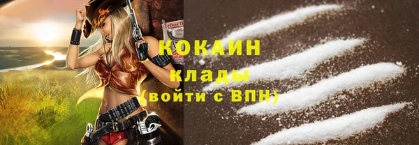 прущие грибы Абаза