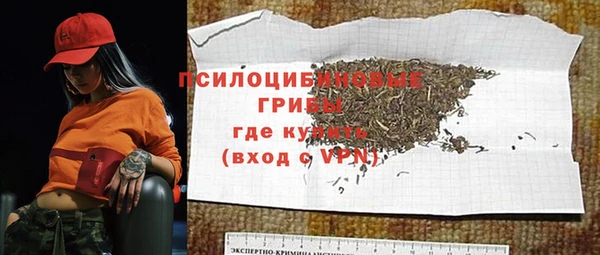 прущие грибы Абаза