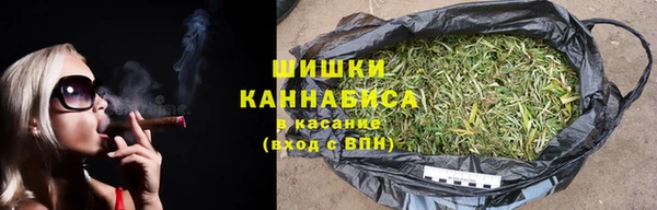 прущие грибы Абаза