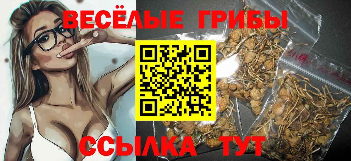 Галлюциногенные грибы ЛСД Черногорск