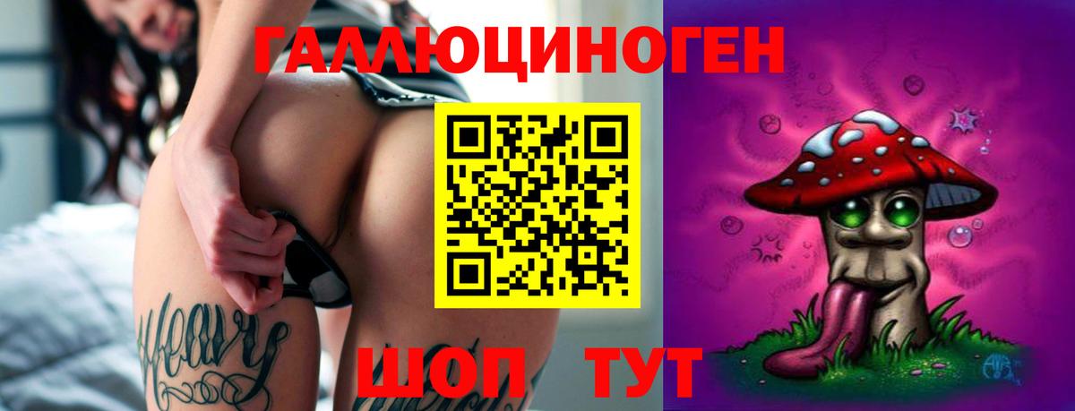 Черногорск  Галлюциногенные грибы Psilocybine cubensis  Вход с VPN 